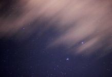 Trend-Driven Market Intelligence Strategies: Stay Updated!