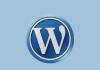 The Ultimate Guide to the Wayback Machine WordPress Plugin