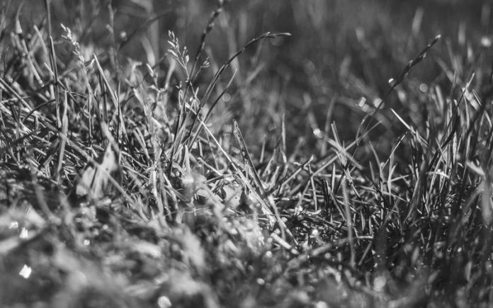 tm_2394
